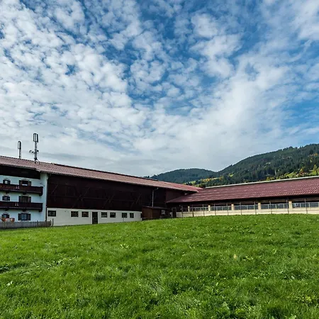 Scherrhof Apartment Kirchberg in Tirol